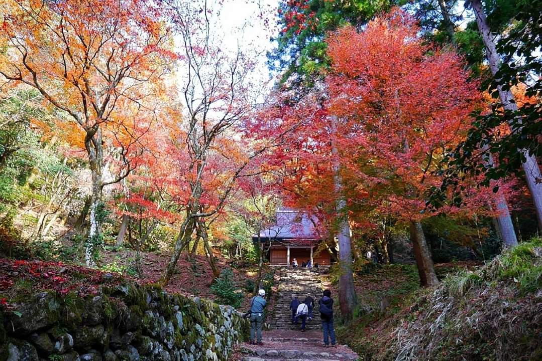 京都自助遊攻略