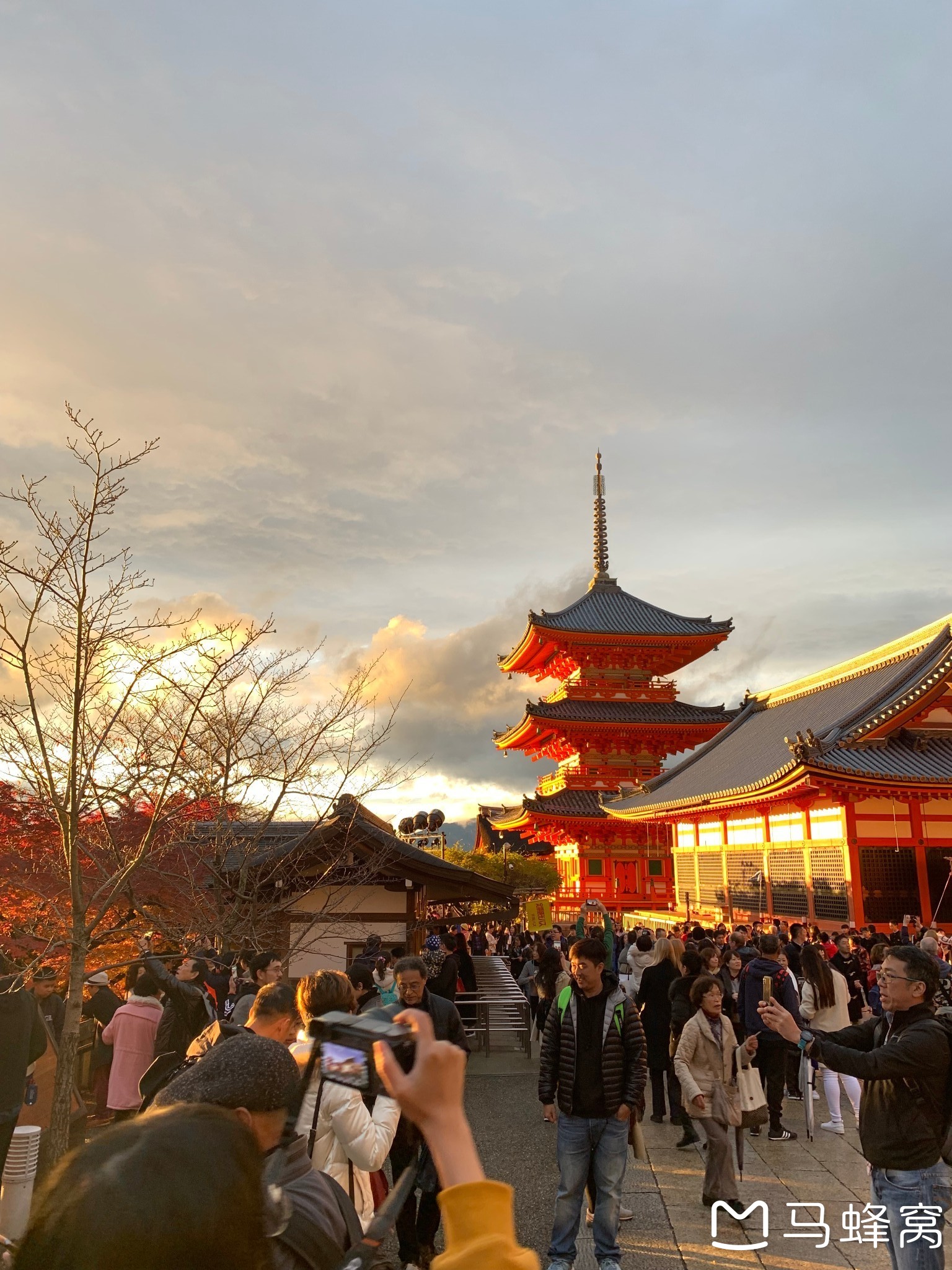 京都自助遊攻略