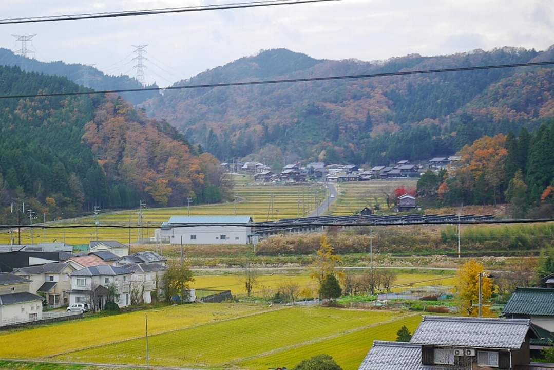 京都自助遊攻略