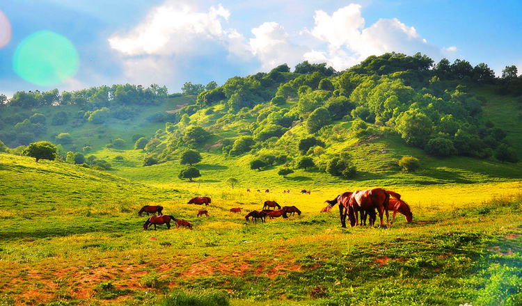 陕西宝鸡关山牧场景点大门票 下单成功3小时后有效