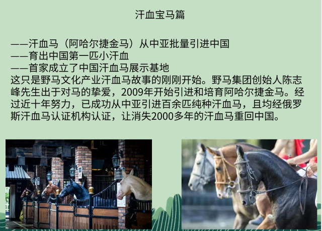 新疆旅游乌鲁木齐野马古生态园 一日门票(汗血宝马 马术表演 野马美术
