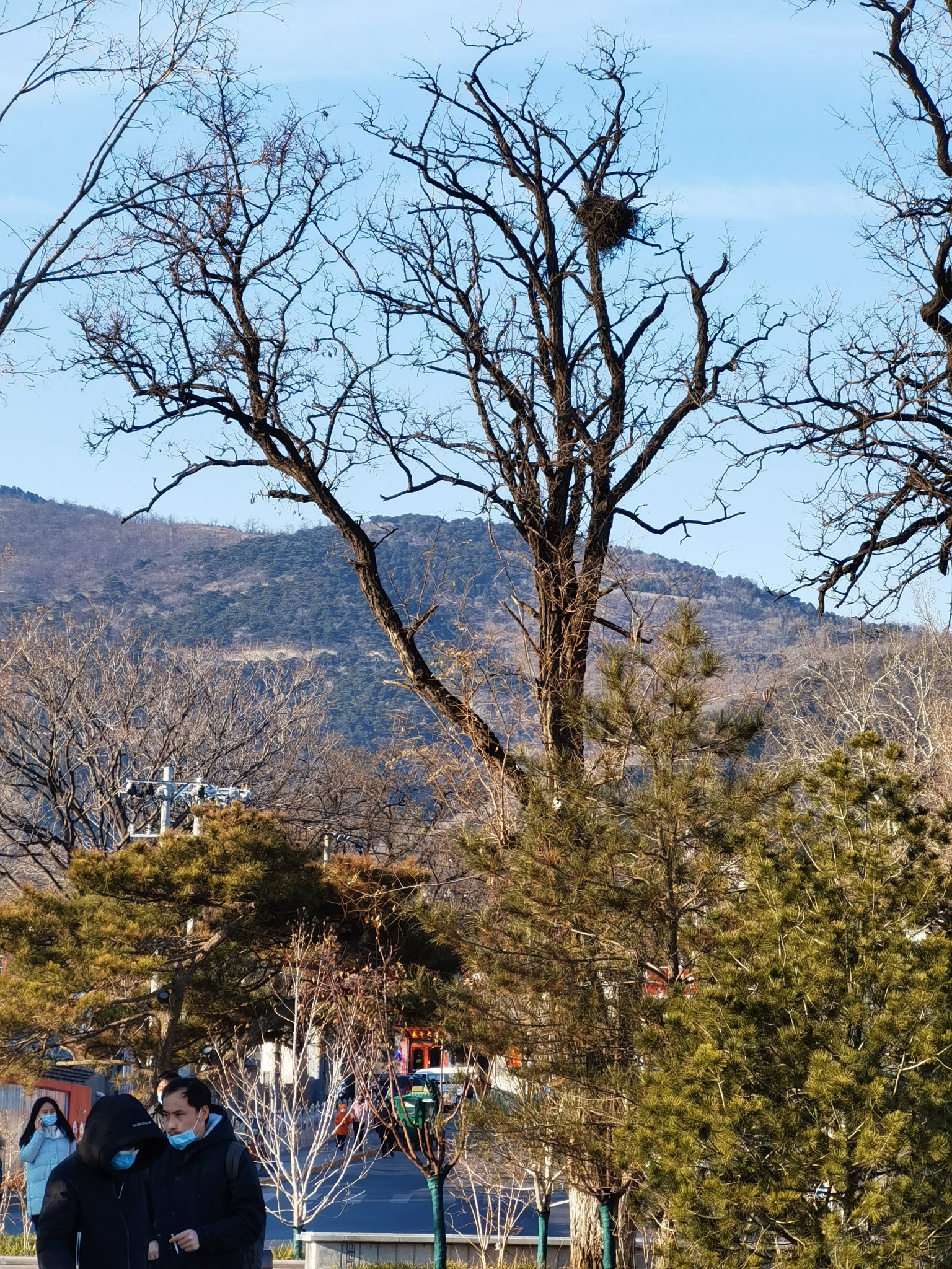 65歲第一天——生日登香山,北京旅遊攻略 - 馬蜂窩