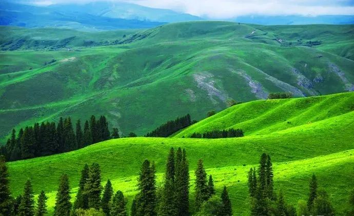 碧绿的小草随风起伏,如同碧波汹涌的绿色海洋,每年7月,那拉提草原