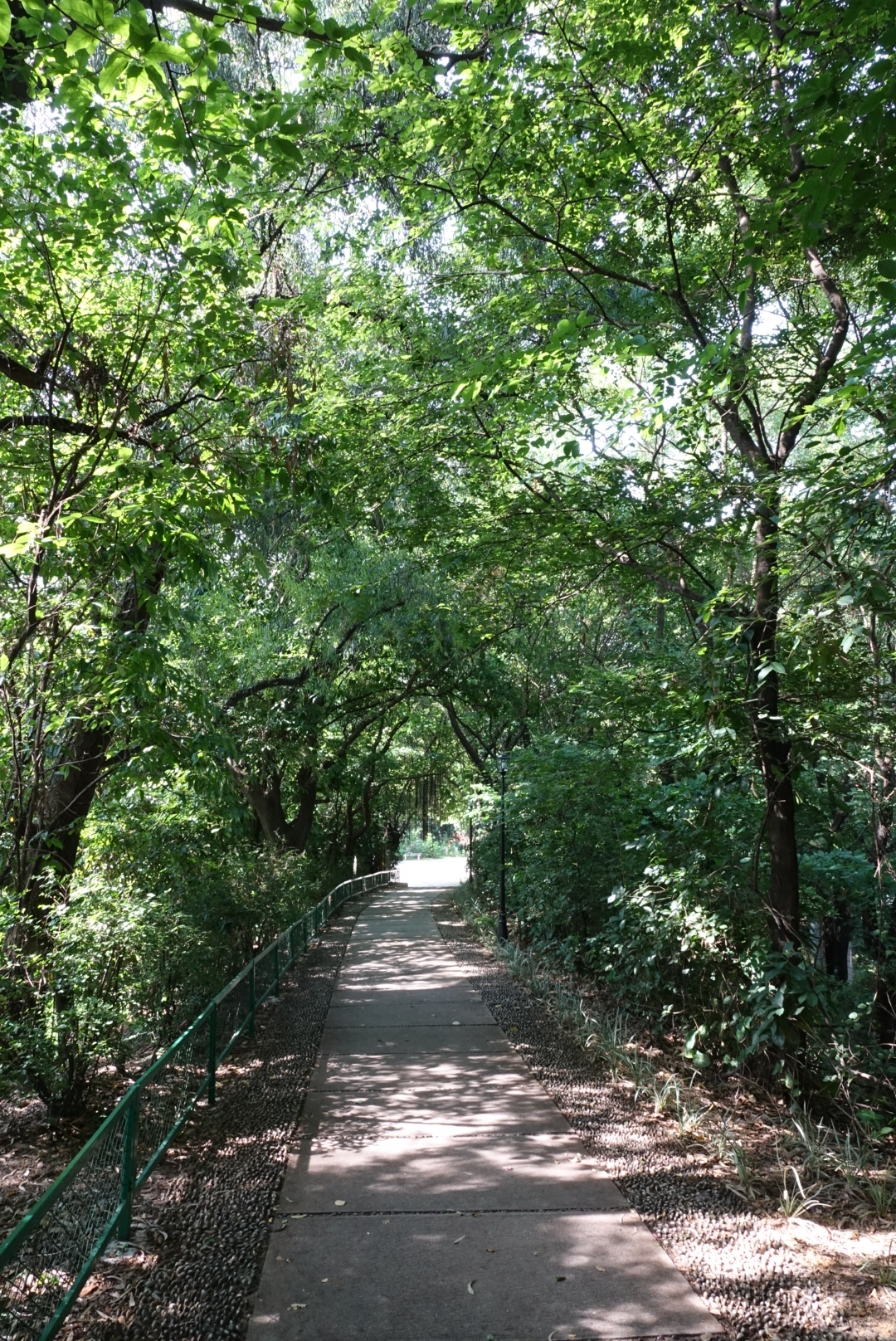 牛山炮台公园,广州旅游攻略 - 马蜂窝