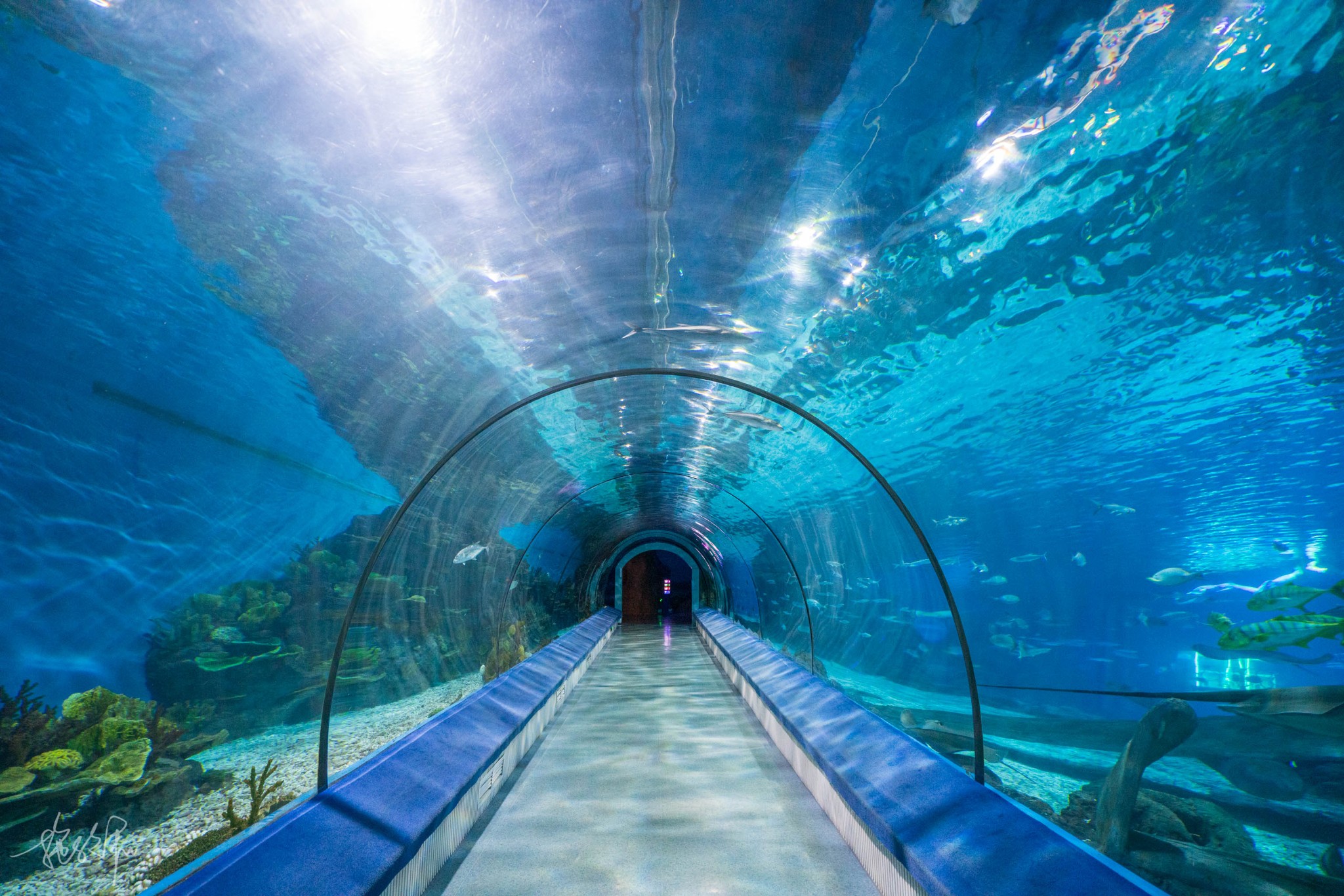 面,只能说占地超级大,展示和游玩的区域也是非常多,让我们不用出 福建