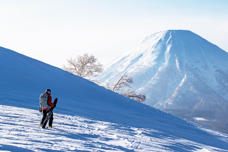 来北海道留寿都滑雪,雪友都要带这条雪道总攻略才上山