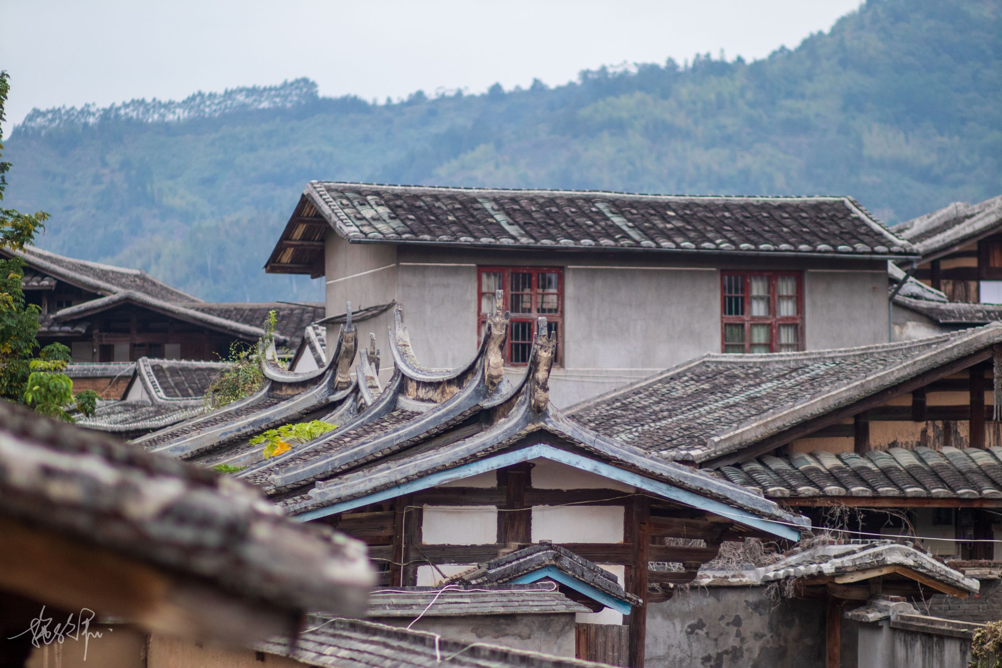 福建游览攻略：东方瑞士武夷山，东方夏威夷鼓浪屿，中国传统民居土楼