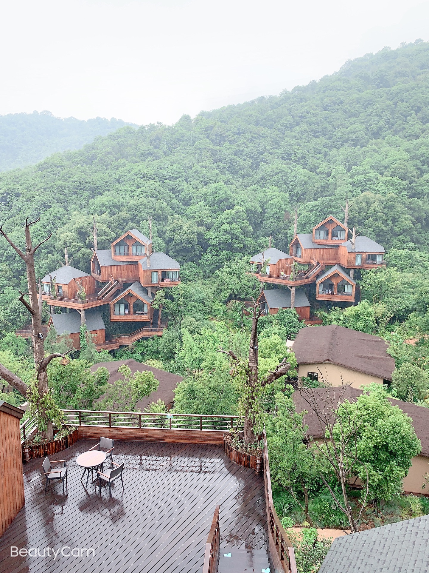 带你去大森林中呼吸新鲜空气【杭州开元森泊度假酒店】_游记