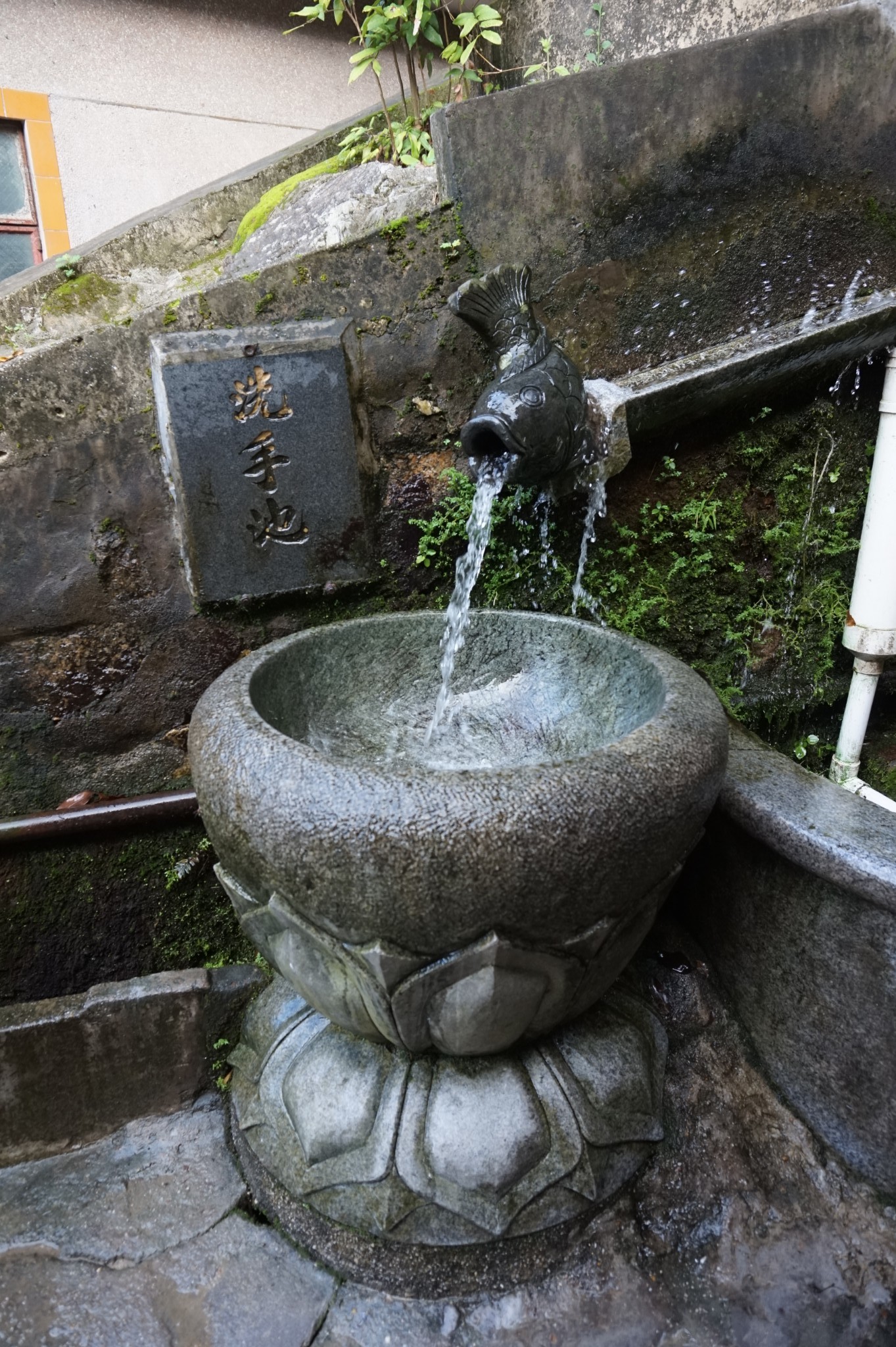 广东丨惠州大亚湾 清泉古寺