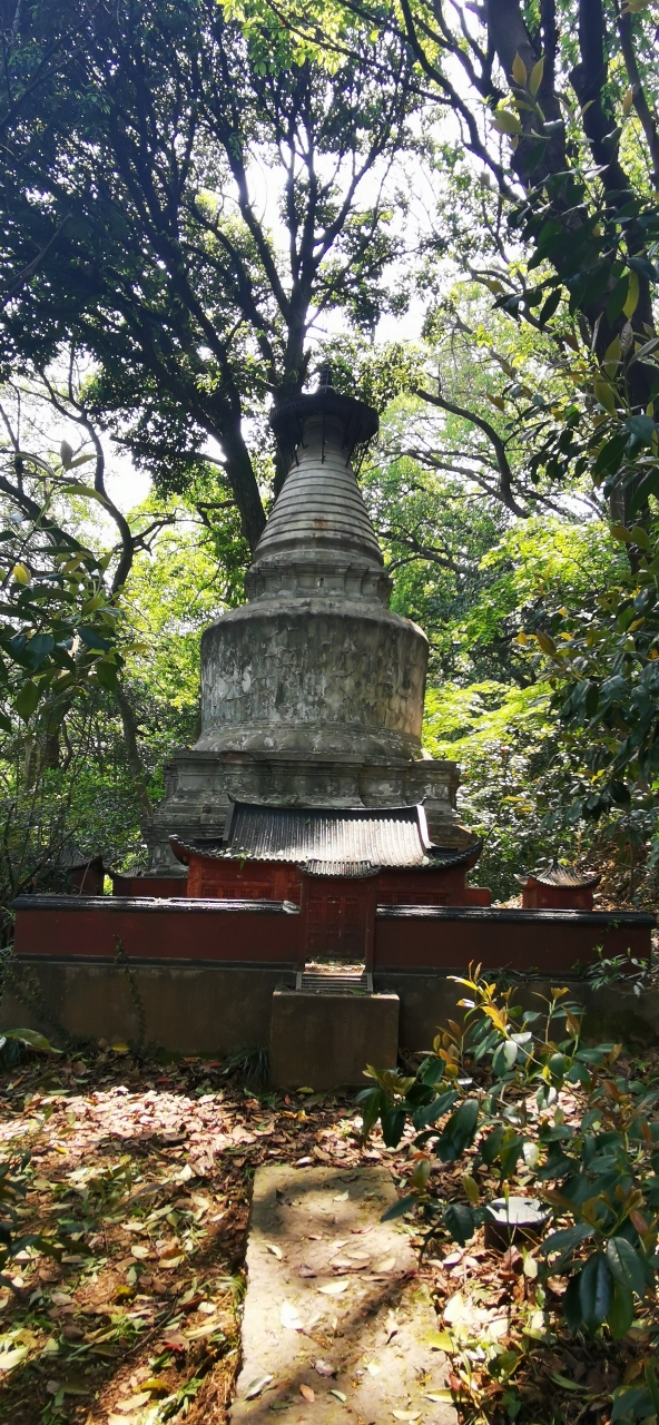 飞来峰&郭庄&六和塔