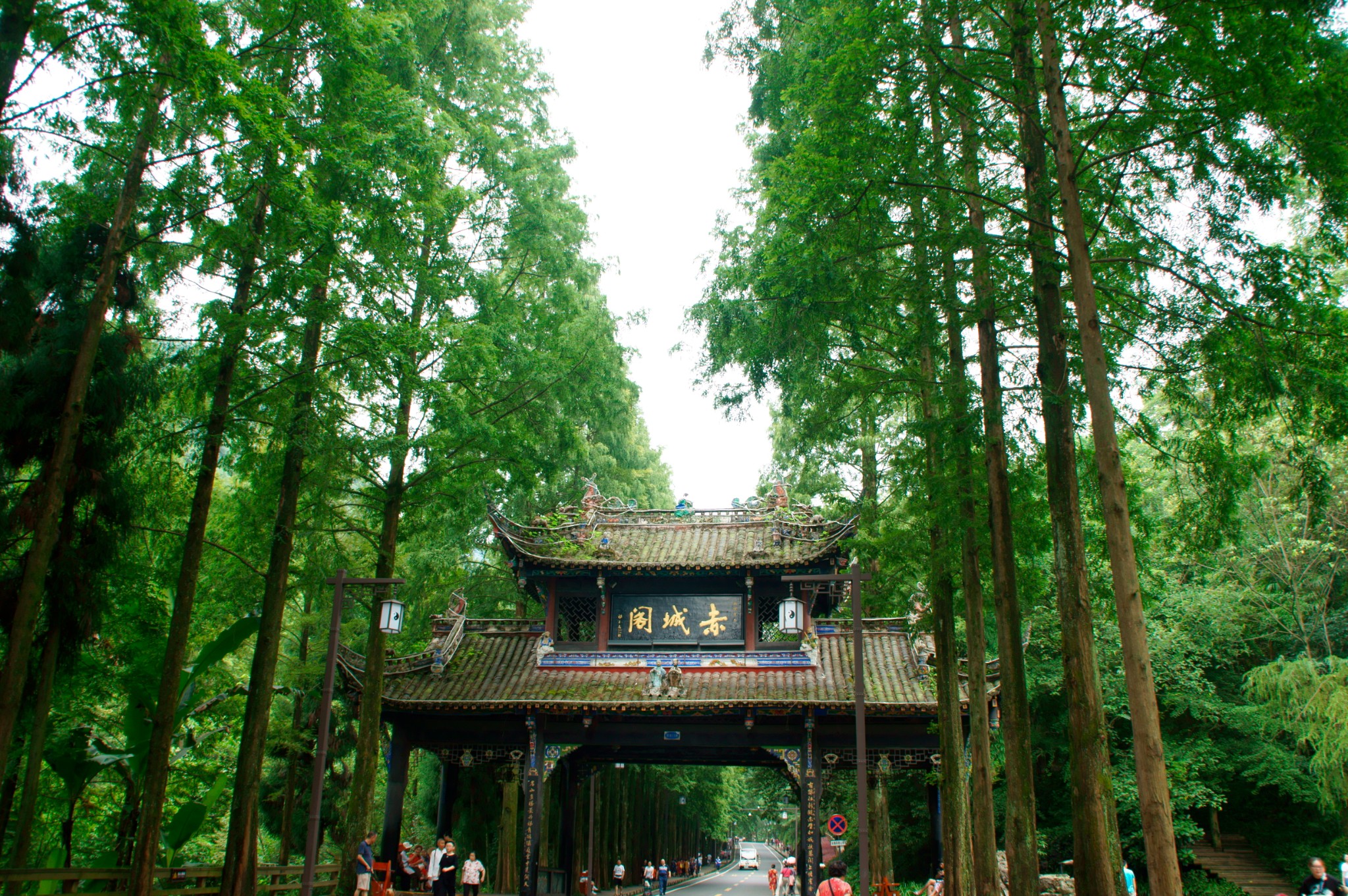 青城天下幽,週末雨中問道青城山,都江堰旅遊攻略 - 馬蜂窩