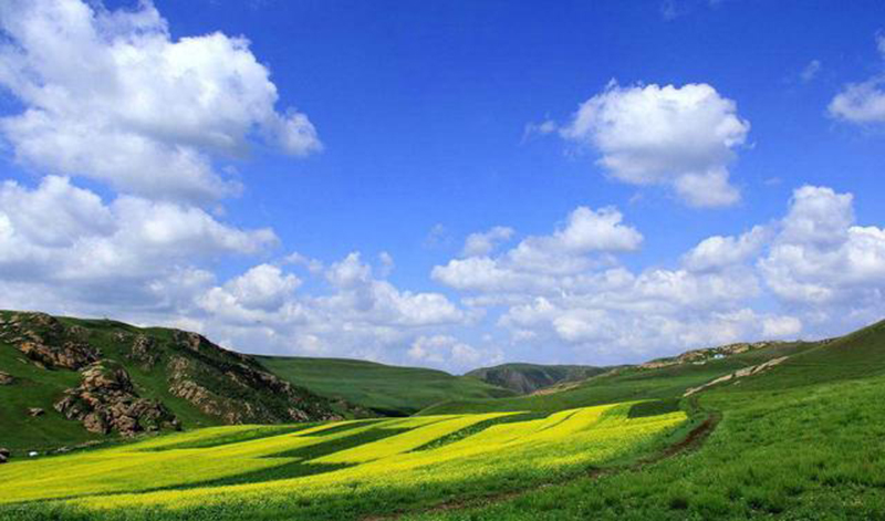 卓资县巴音锡勒草原