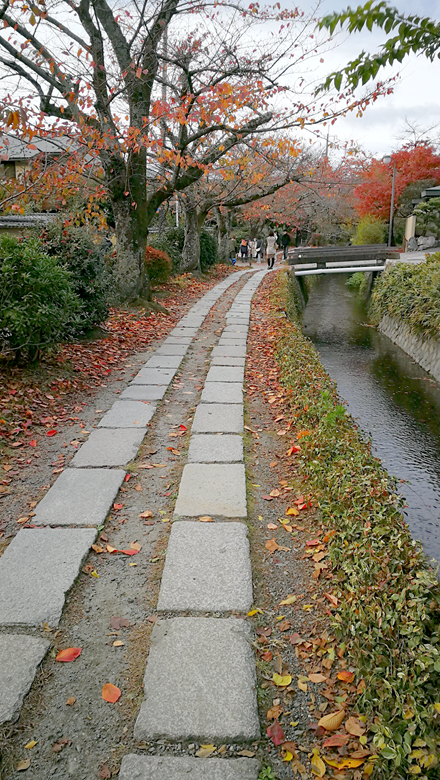 京都自助遊攻略