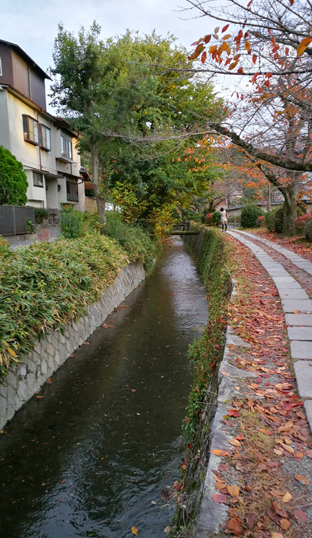 京都自助遊攻略