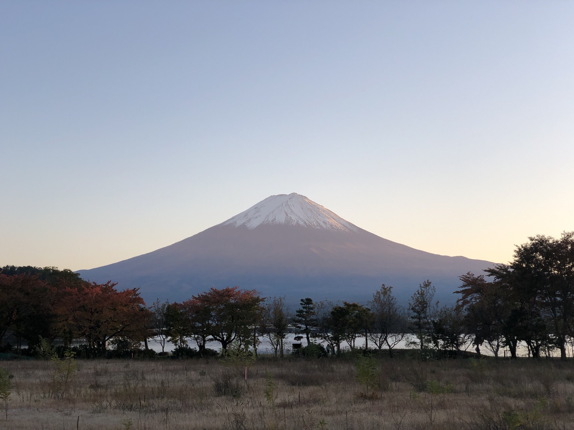 東京自助遊攻略