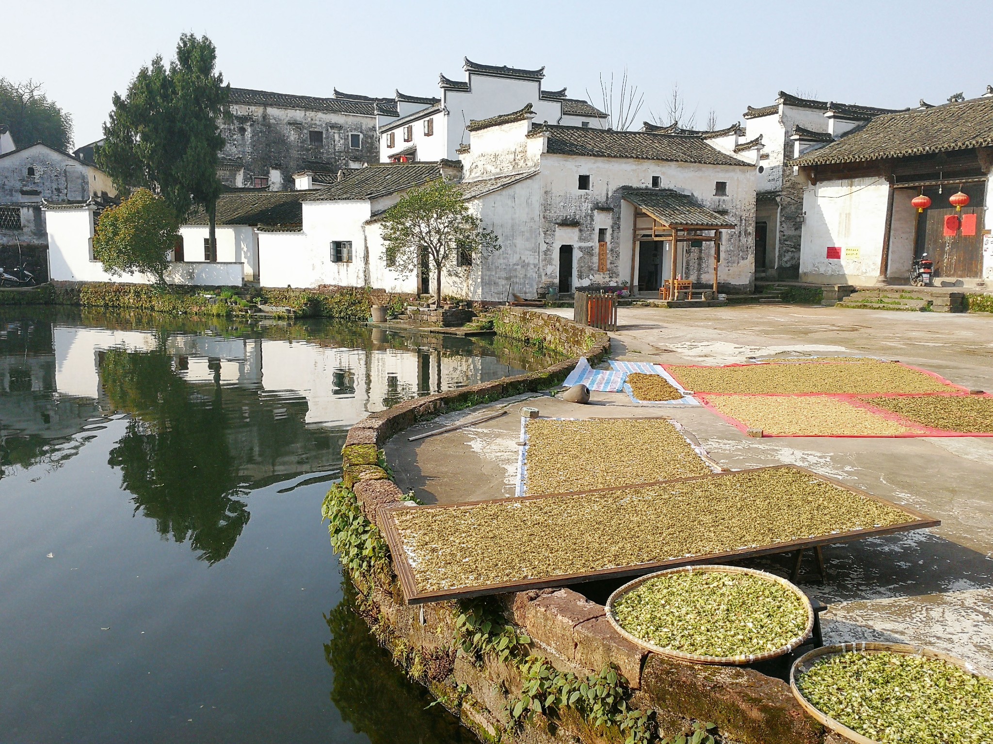 經過將近3小時的行程,15:00 我們到達 蘭溪 諸葛八卦村 ,在