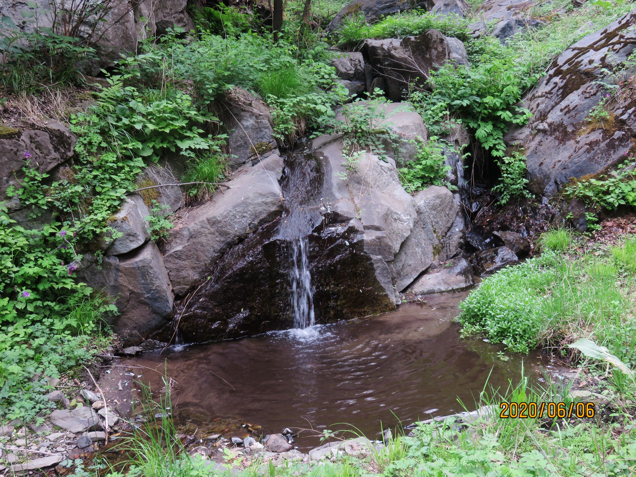 探寻原平沟沟岔岔之野生玫瑰园