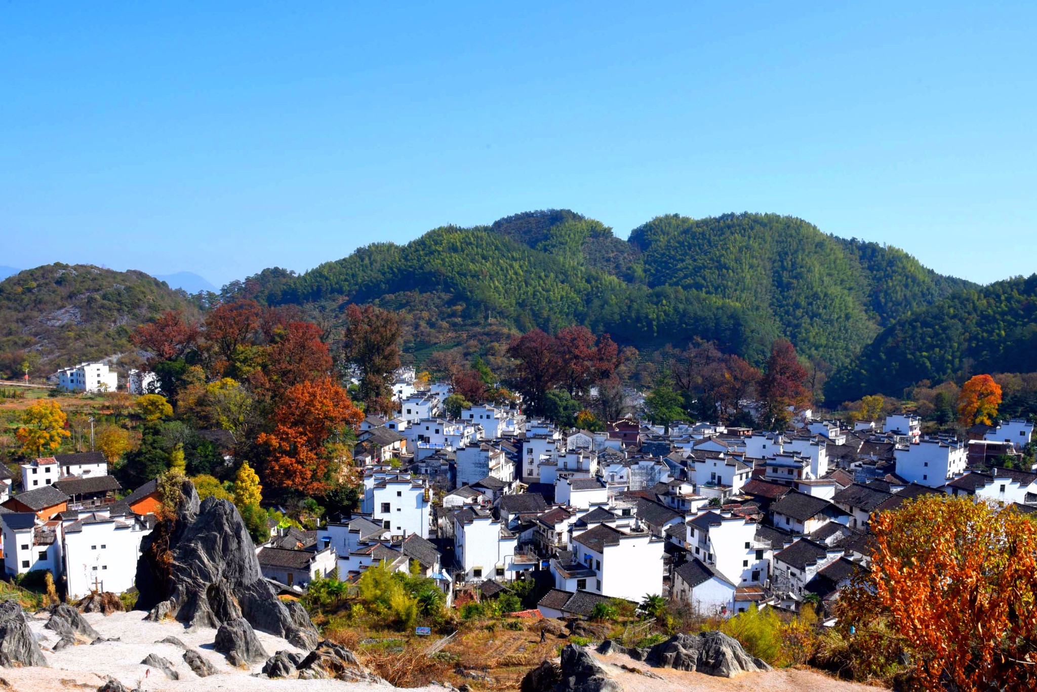 石城红枫叶景区