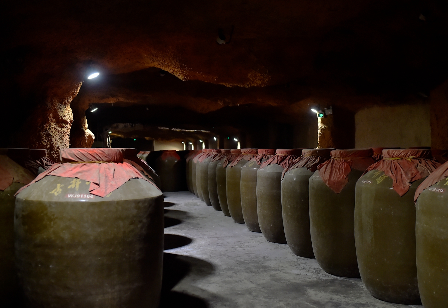 安徽亳州古井贡酒文化探秘之旅_游记