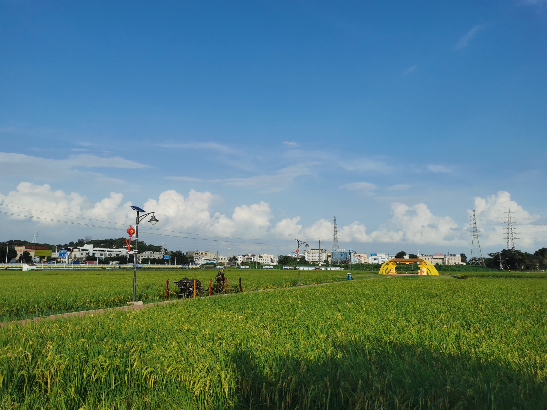 东莞市上元稻田公园