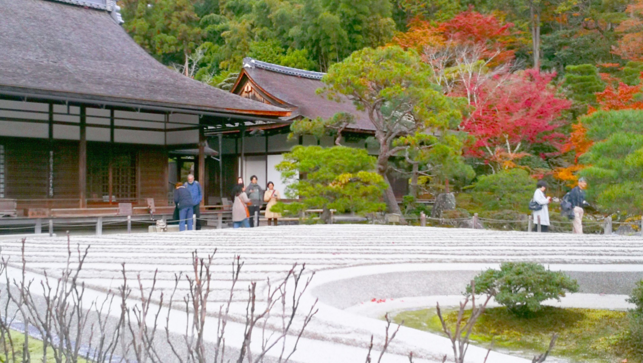 京都自助遊攻略