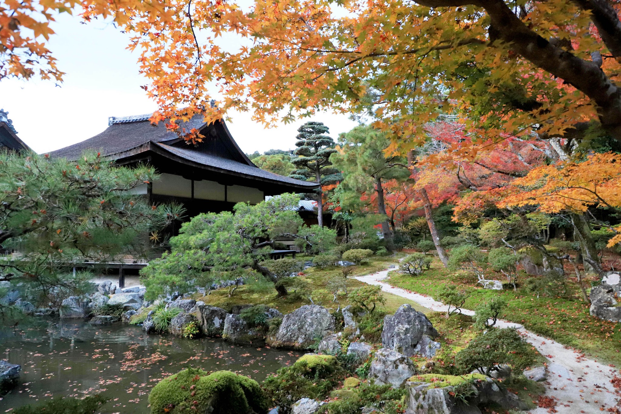 京都自助遊攻略