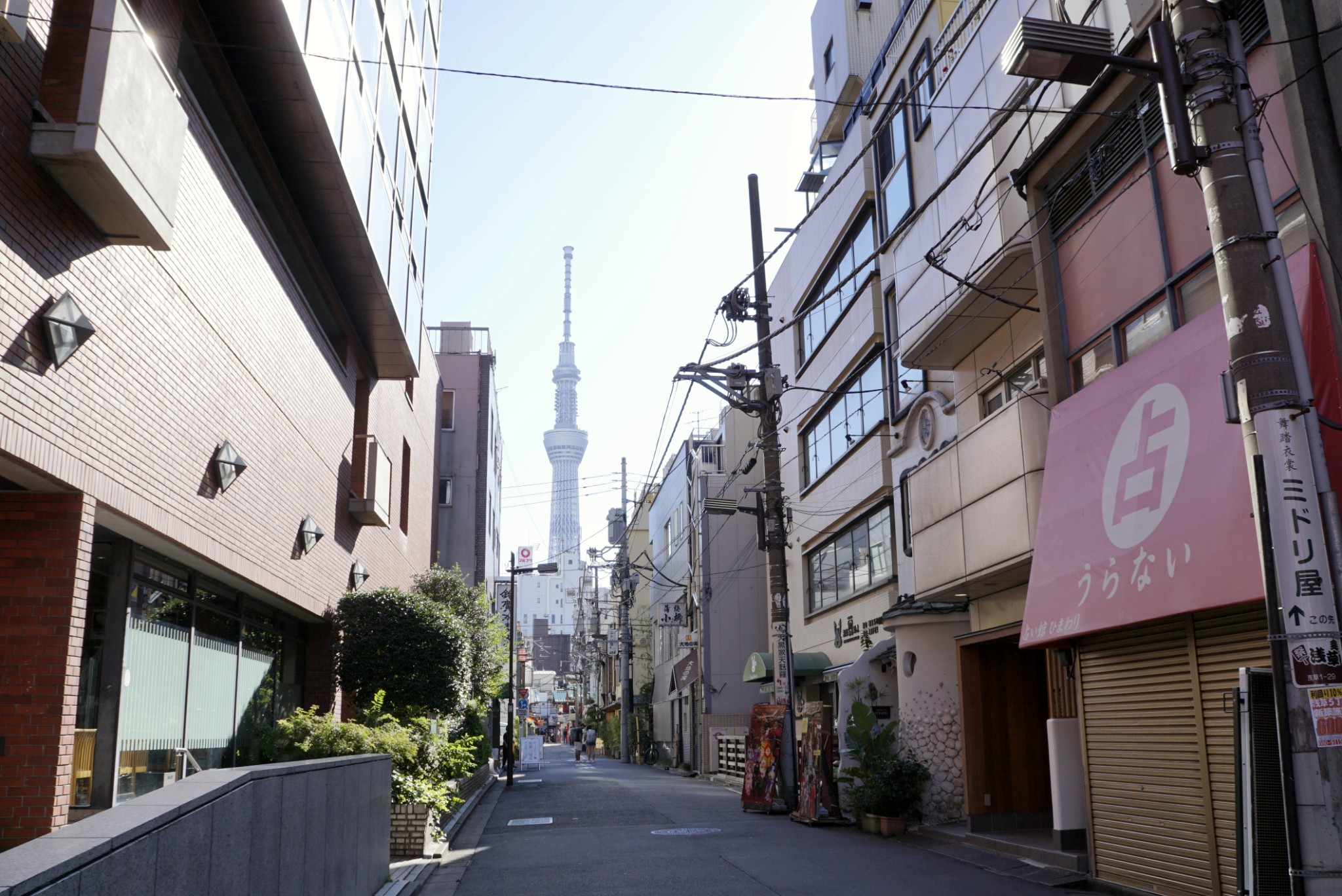 東京自助遊攻略