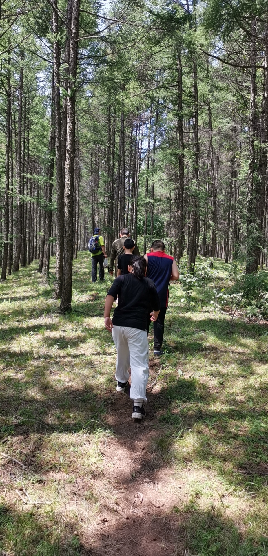 意外之旅小美林村