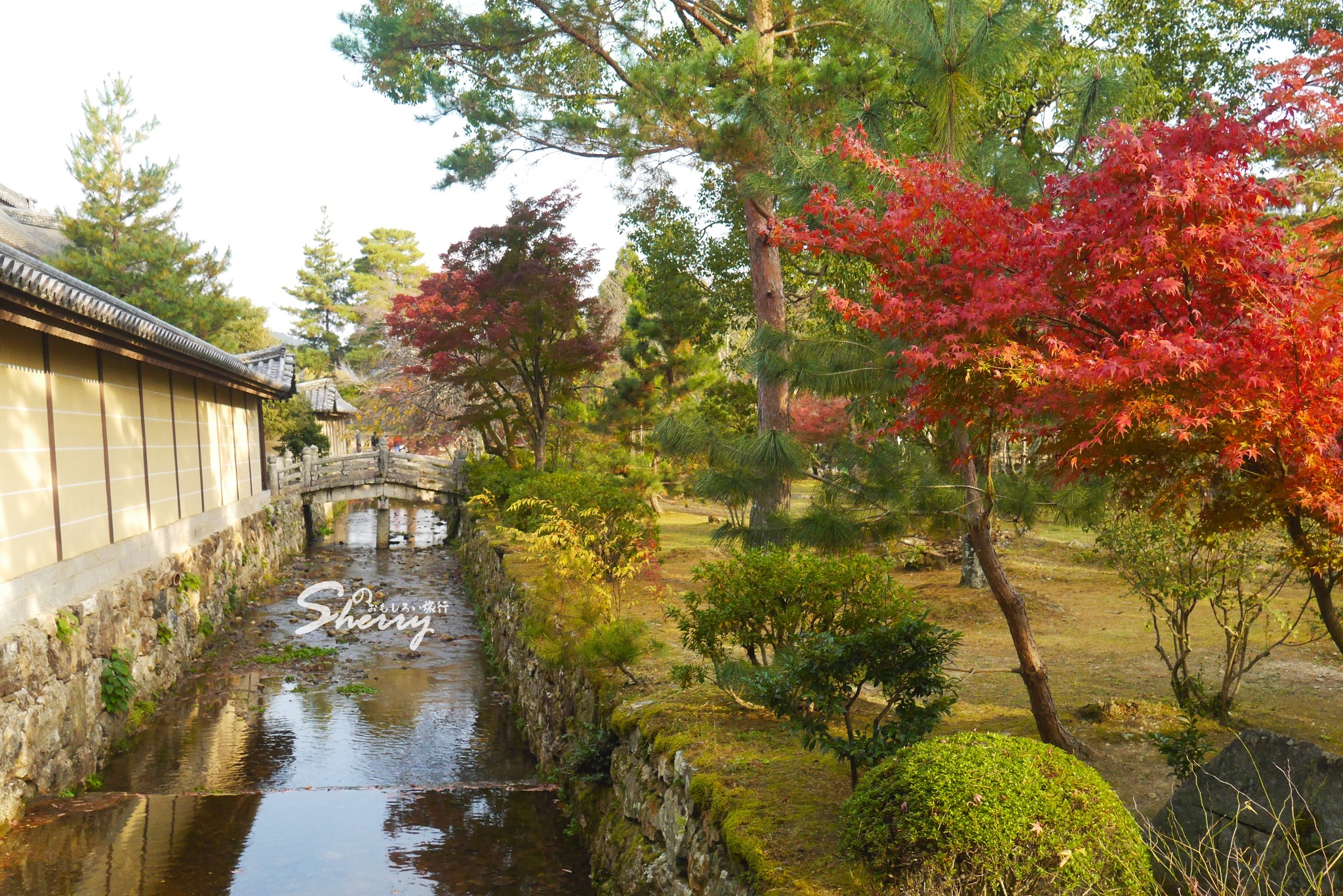 京都自助遊攻略