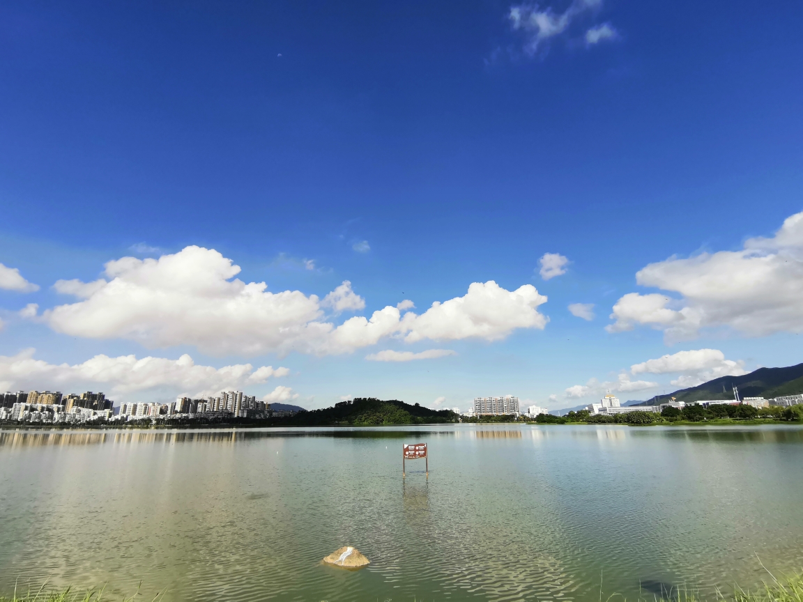 20200613肇庆波海公园