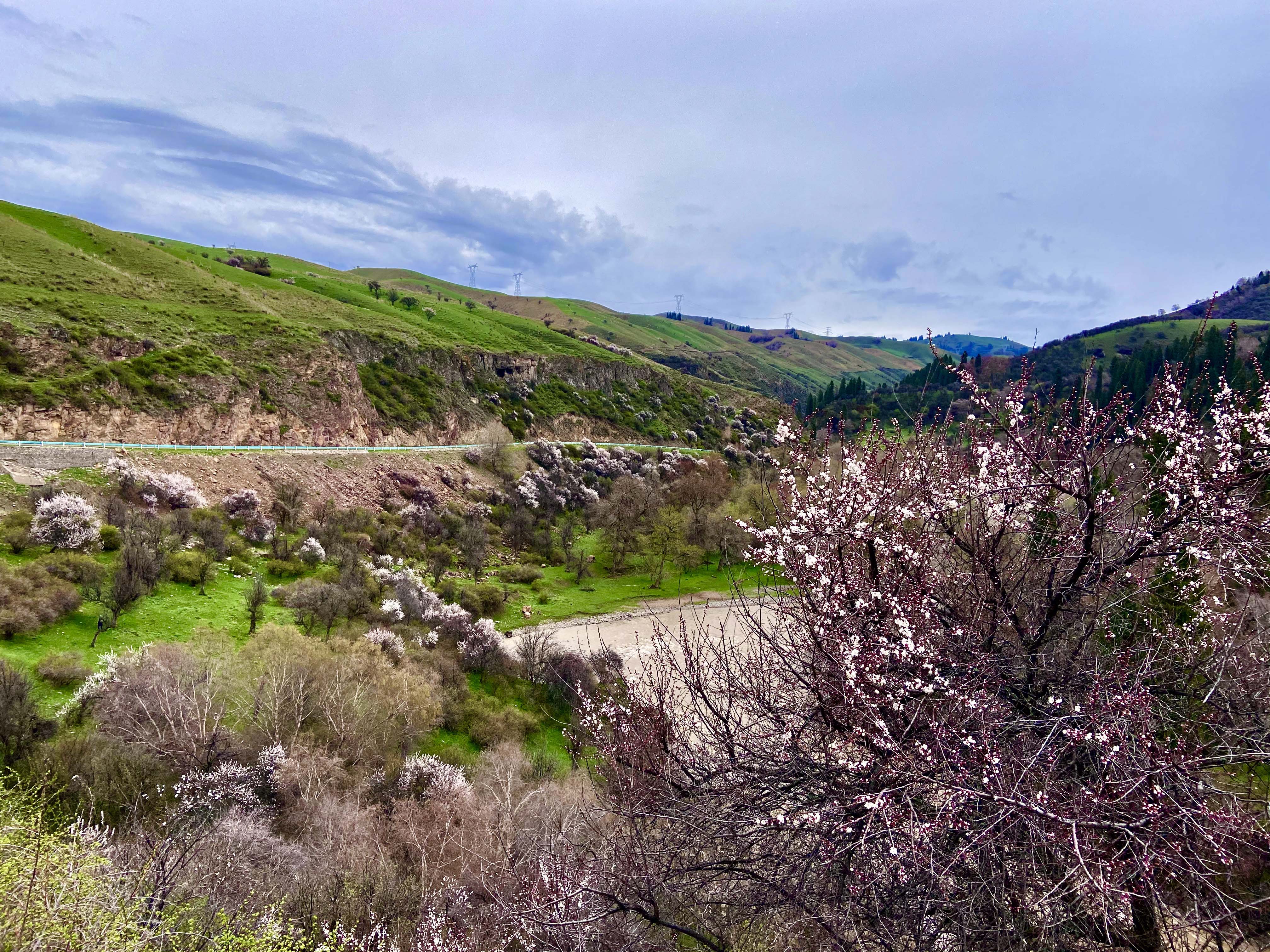 野核桃沟景区【成人】门票