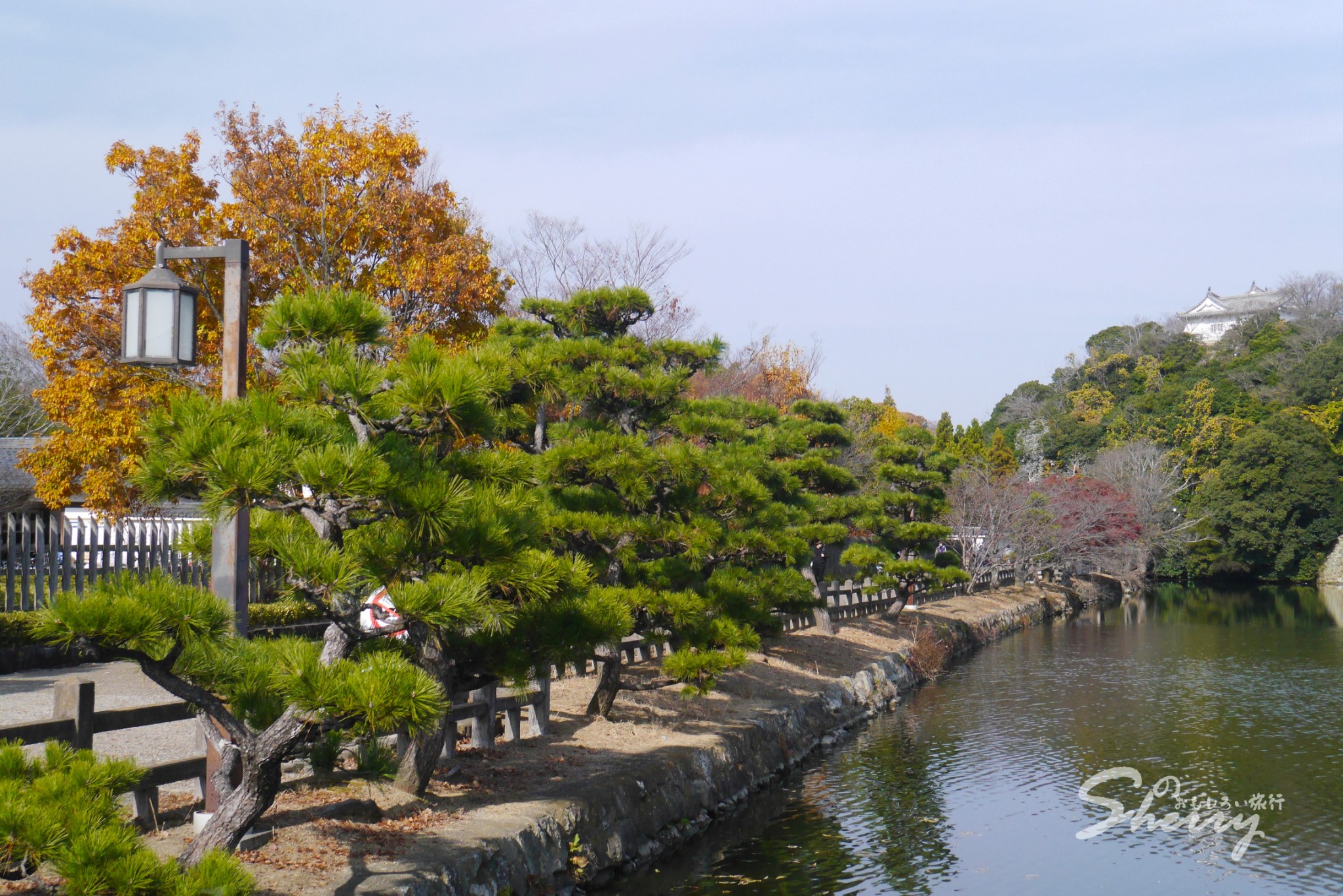 京都自助遊攻略