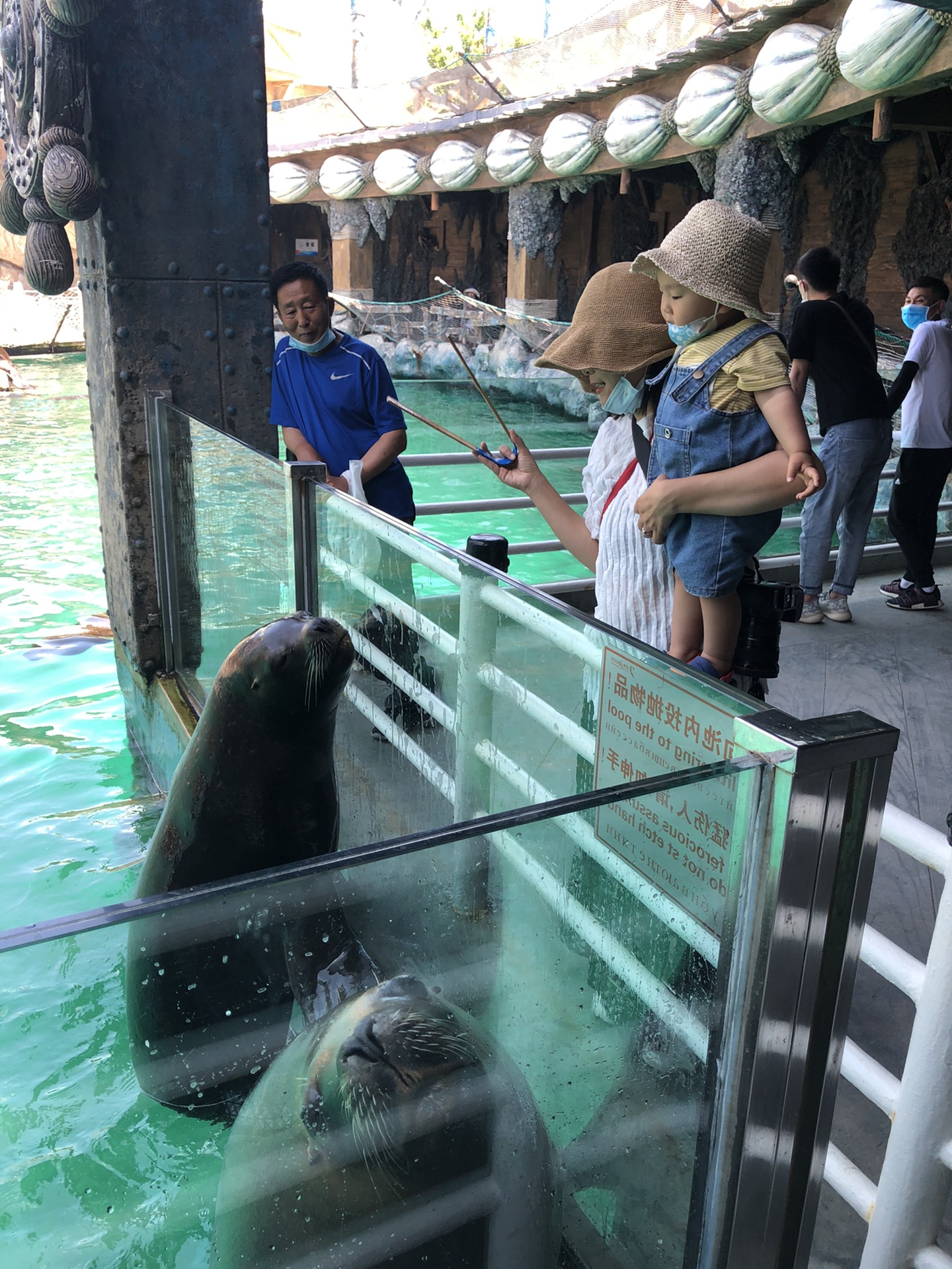 大连老虎滩海兽馆