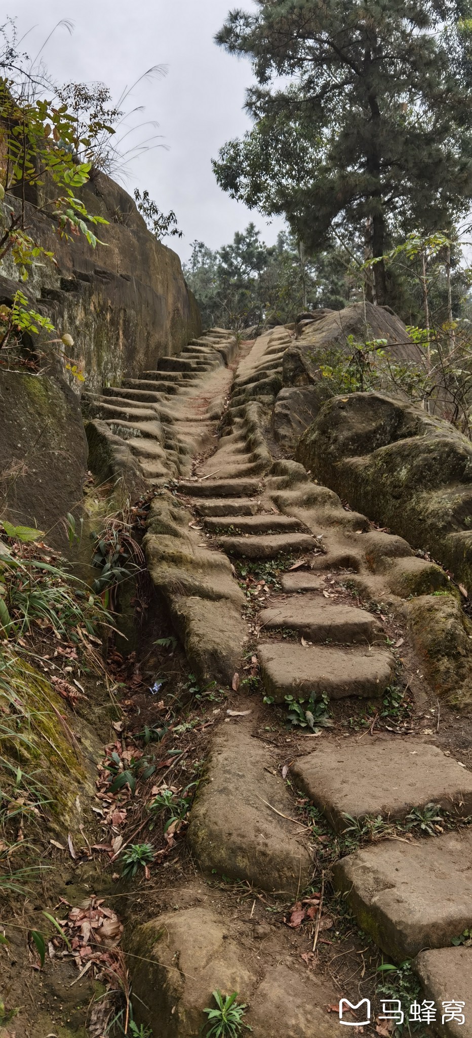 徒步威遠鹽煤古道