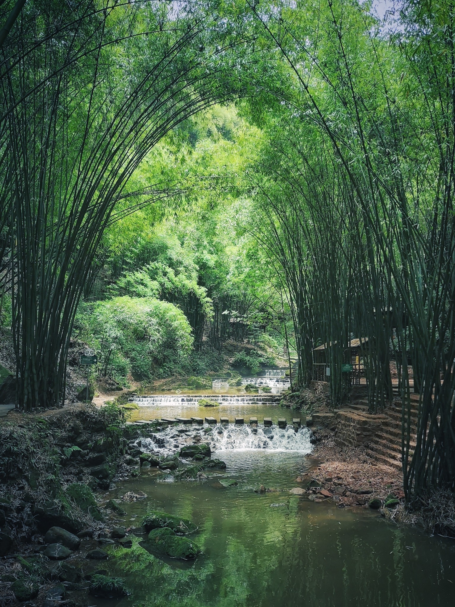 去川西竹海吧!脫離城市霧霾,來一場清新的洗肺之旅