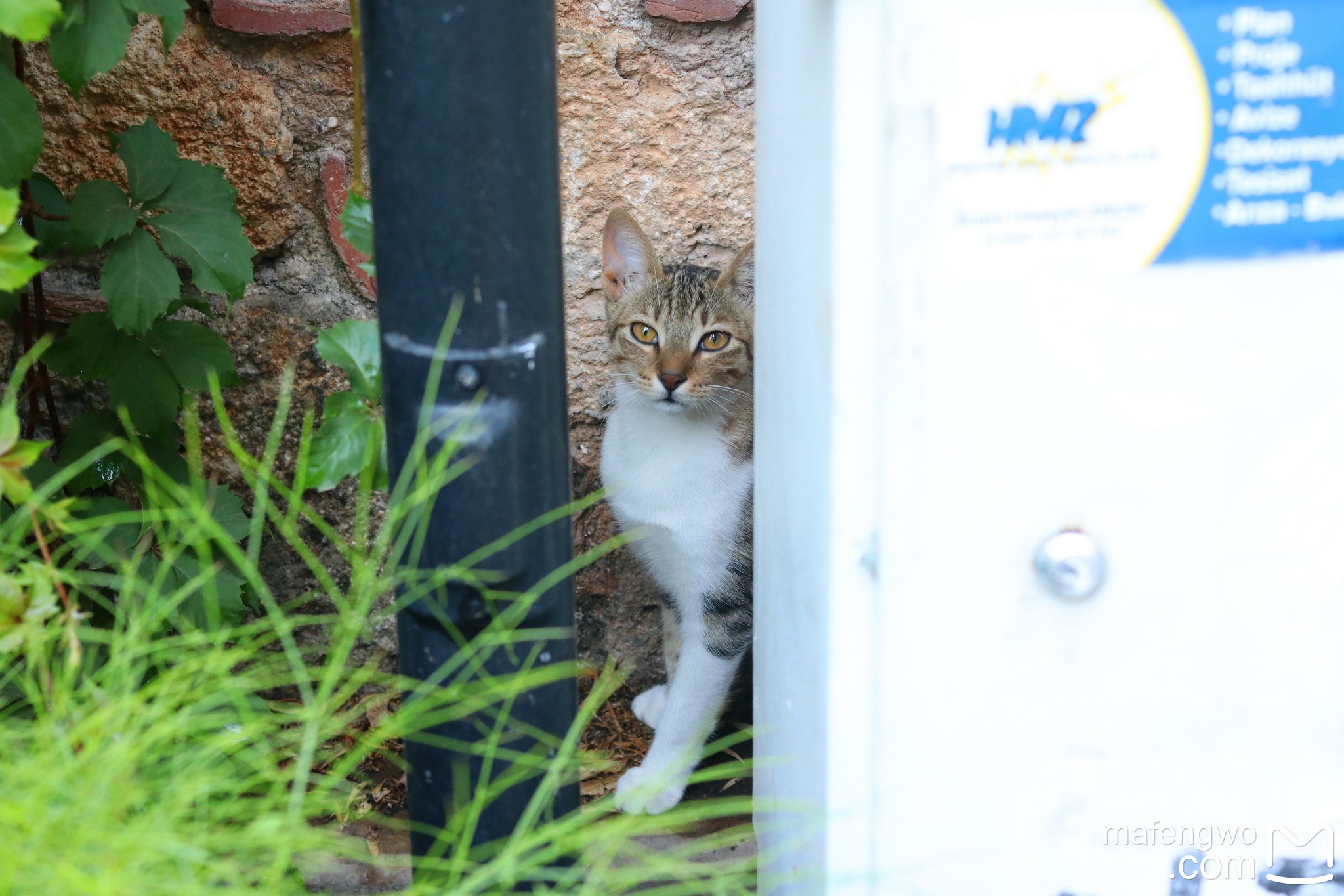 土耳其自助遊攻略