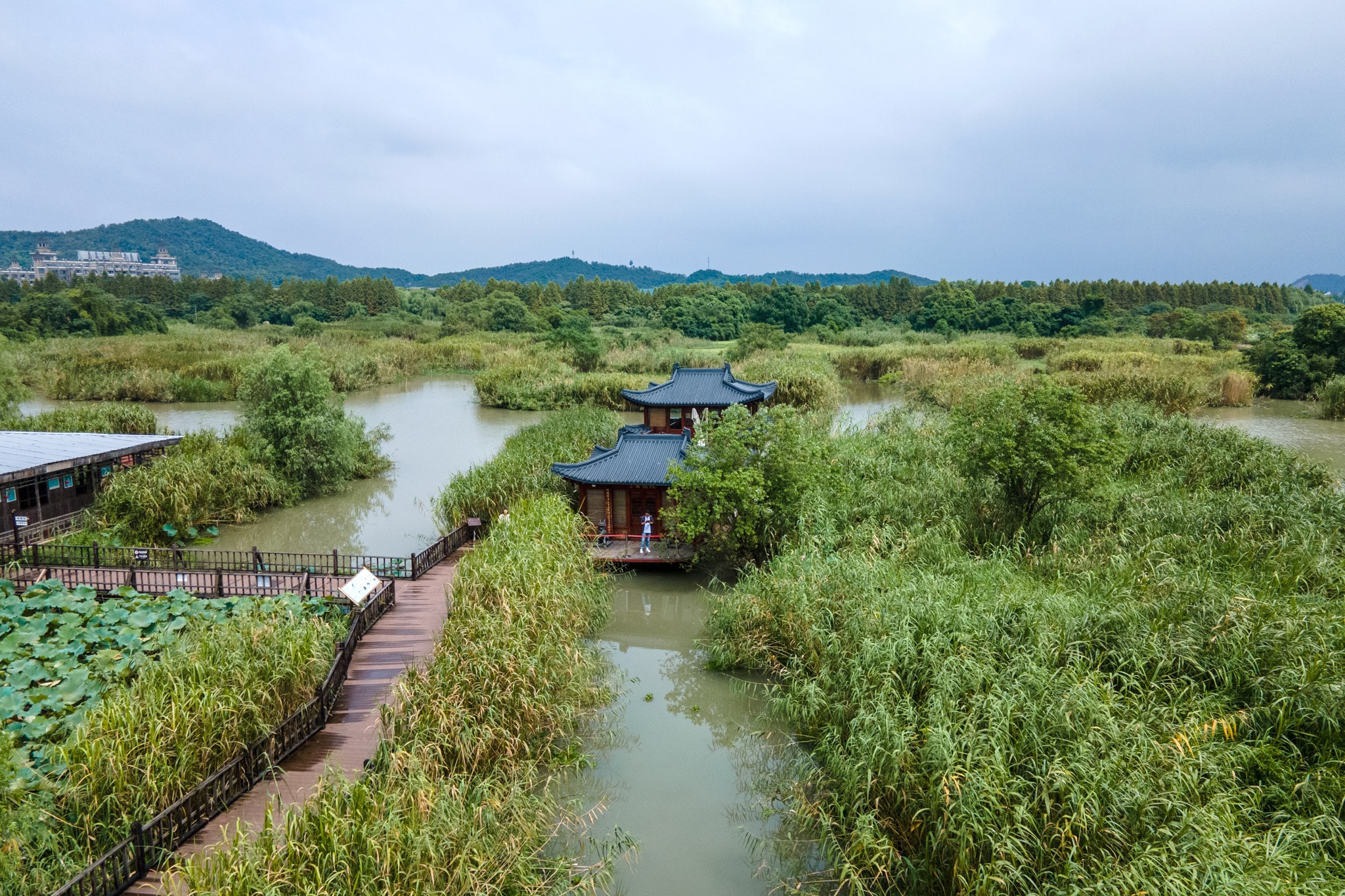 遊覽的話主要是乘坐畫舫及湖心島木棧道,下渚湖溼地風景區門票75元