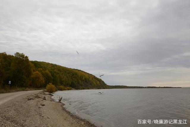 奔流到海不复回——黑龙江入海口剪影