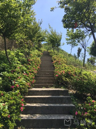 奉化金峨山旅游图片,奉化金峨山自助游图片,奉化金峨山旅游景点照片