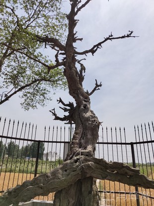 博望坡遗址旅游图片,博望坡遗址自助游图片,博望坡遗址旅游景点照片