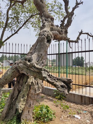 博望坡遗址旅游图片,博望坡遗址自助游图片,博望坡遗址旅游景点照片