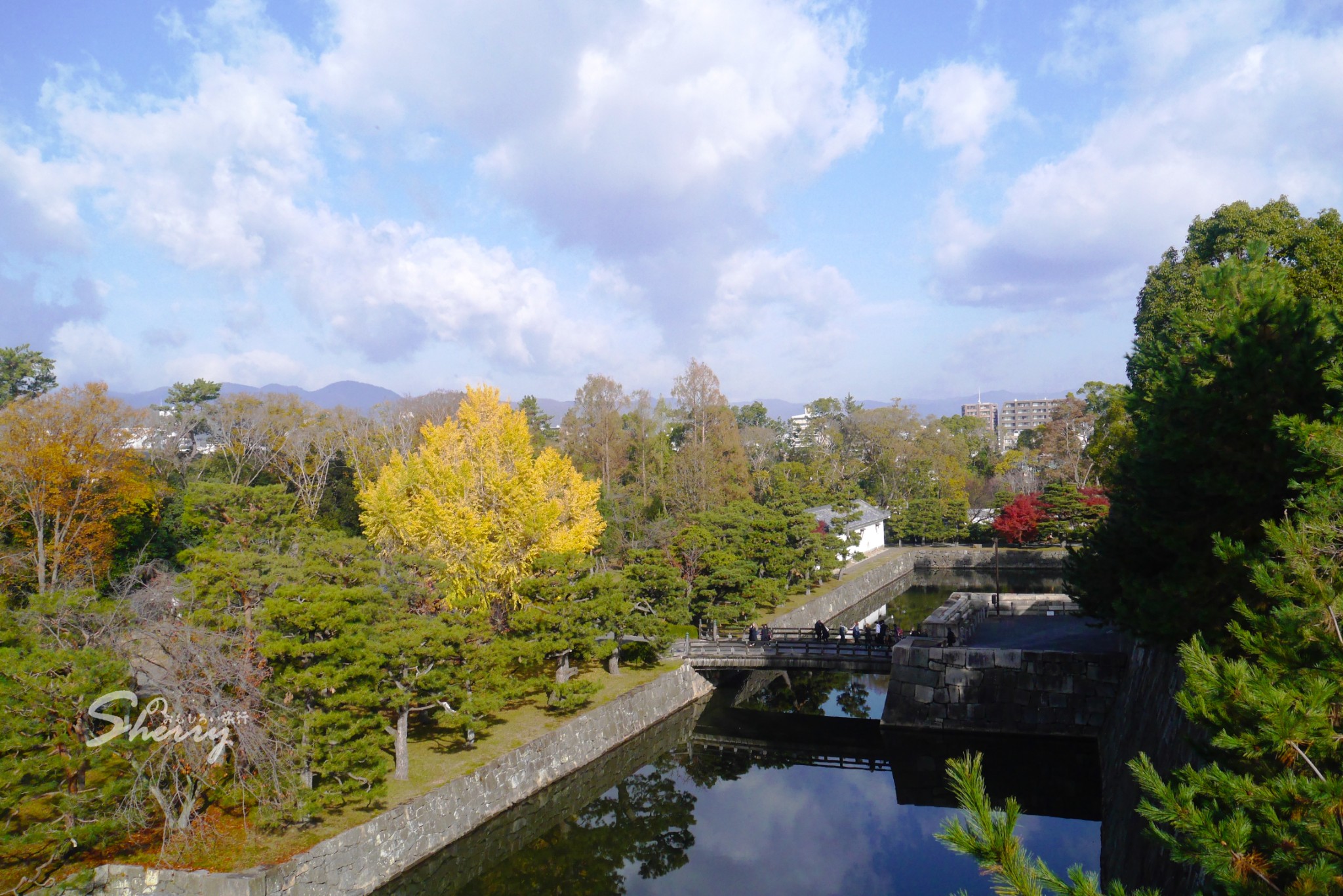 京都自助遊攻略