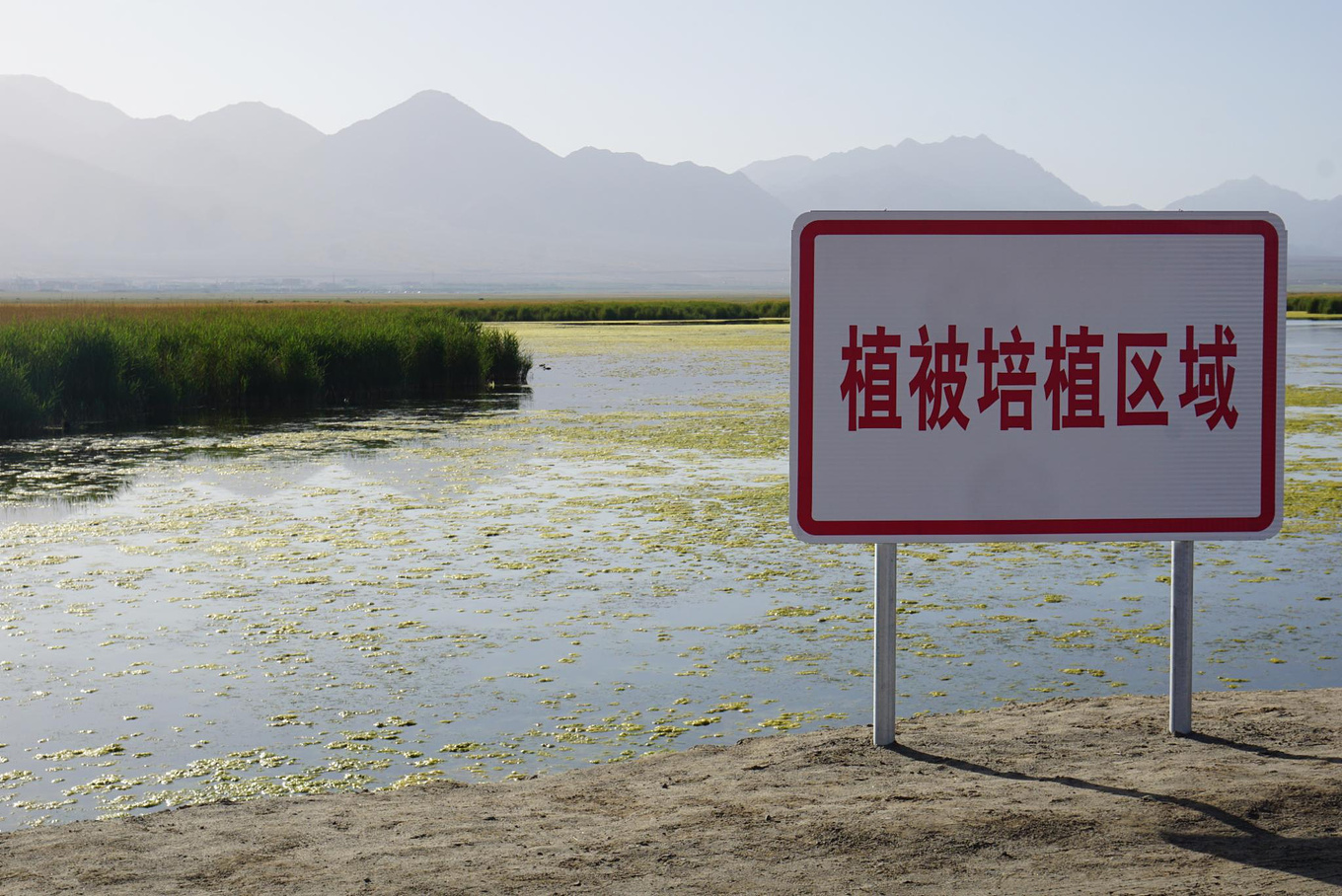 青海自助遊攻略