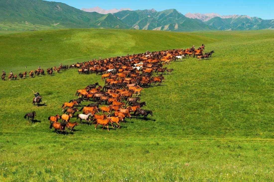 内蒙古格根塔拉草原门票(电子门票 方便快捷 即买即用)