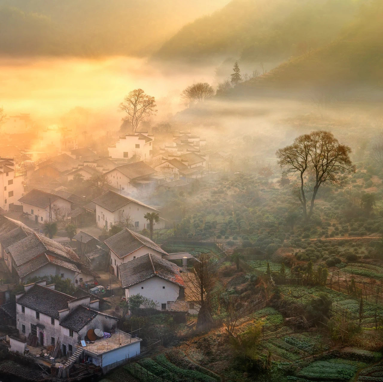 婺源无一处不是风景,无一时不遗落风情