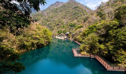 黃山祁門牯牛降景區門票