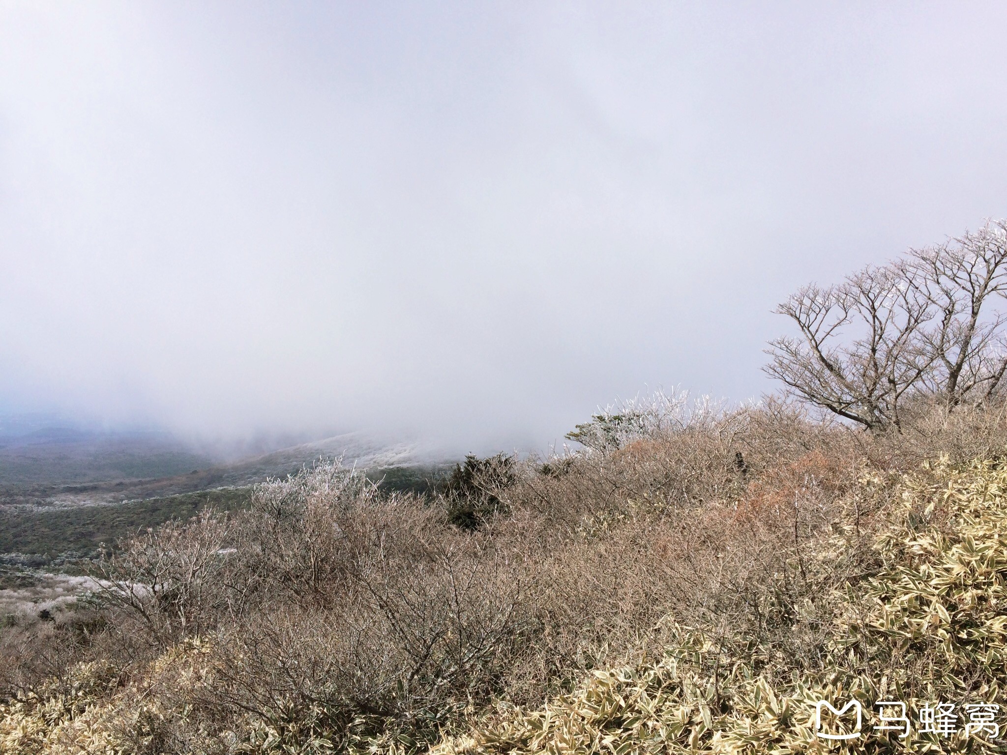 濟州島自助遊攻略