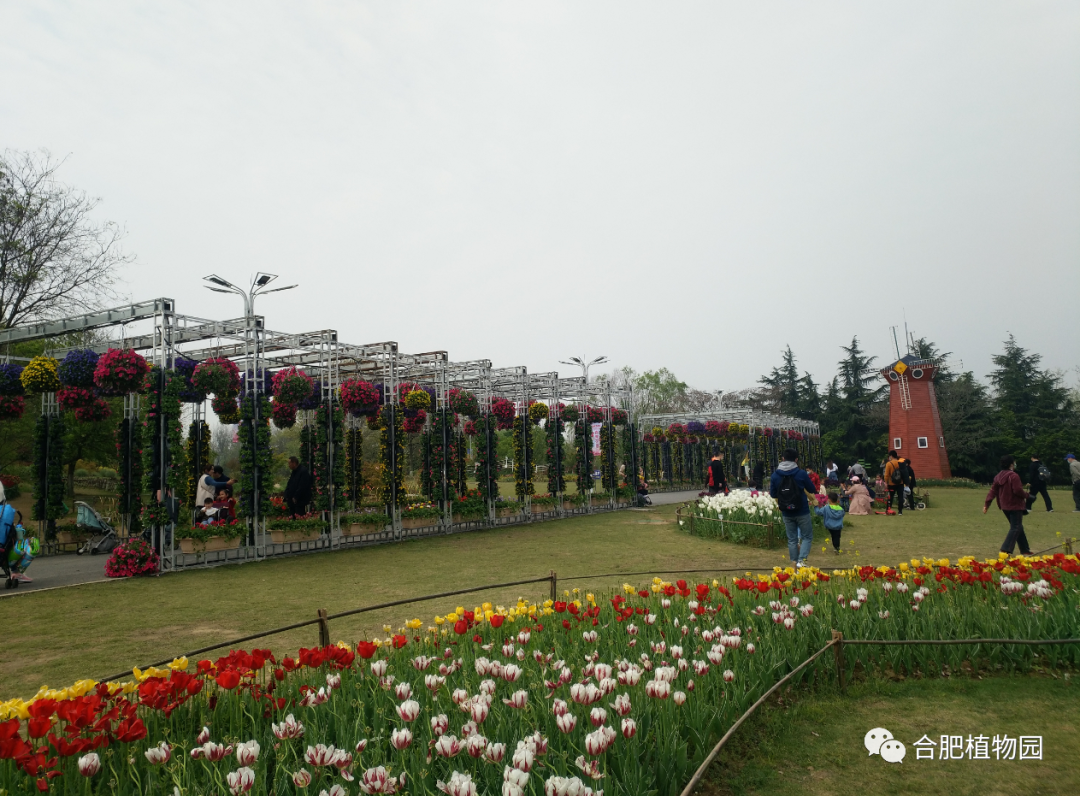 蚌埠市江淮植物园图片