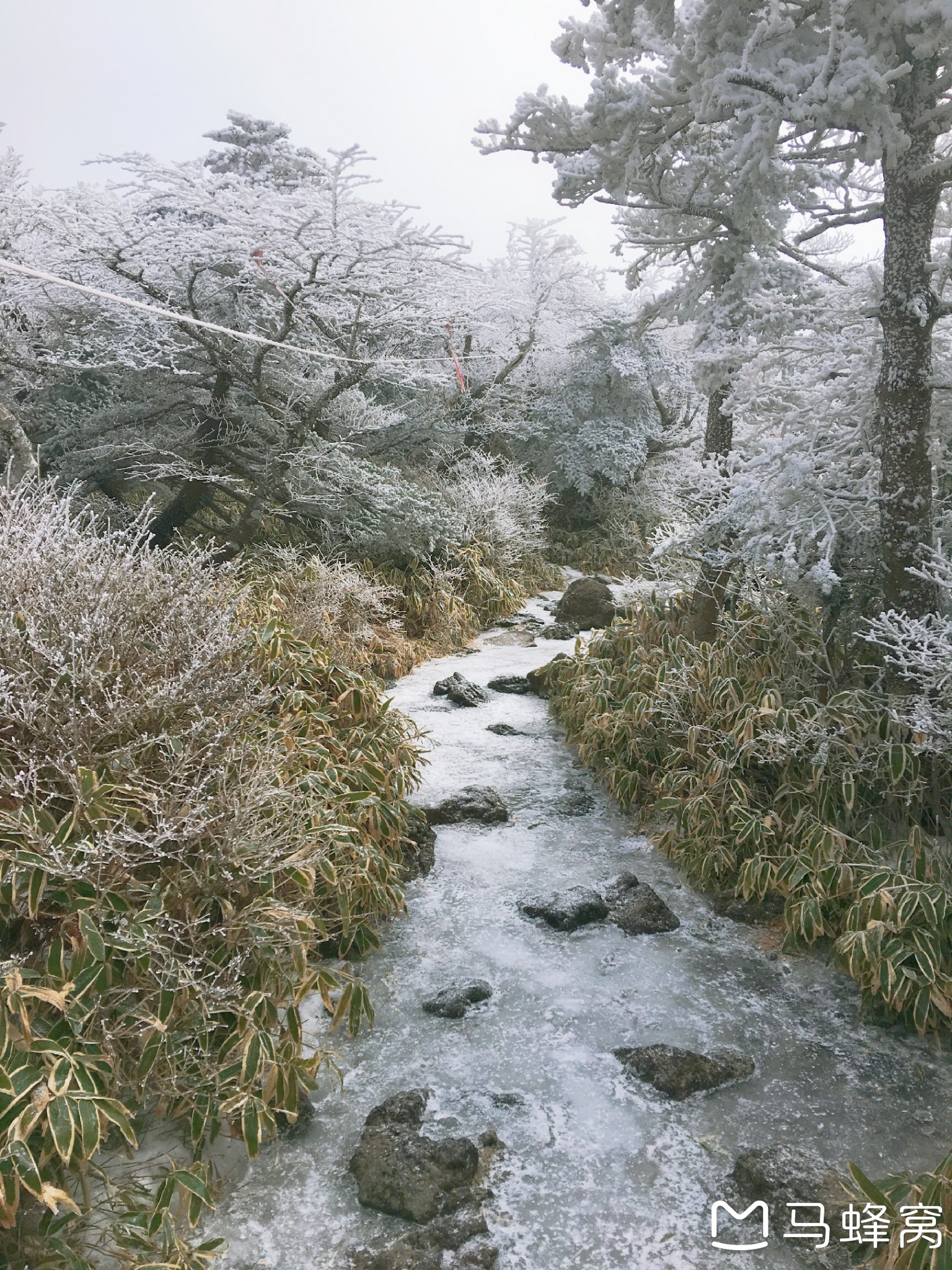 濟州島自助遊攻略