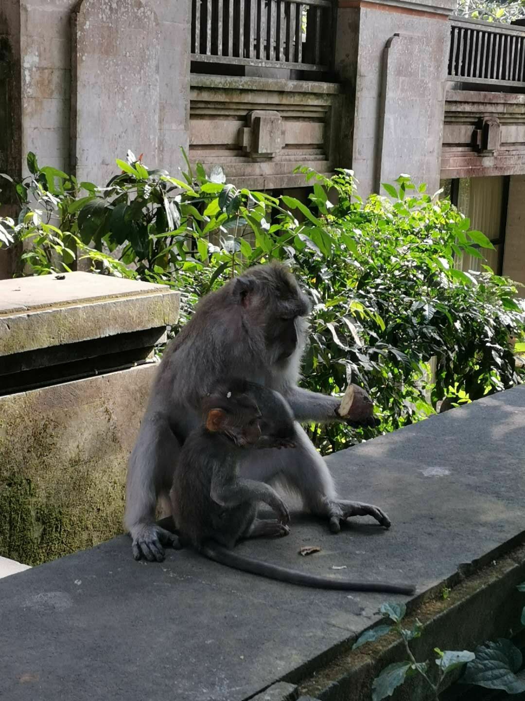 印度尼西亞自助遊攻略